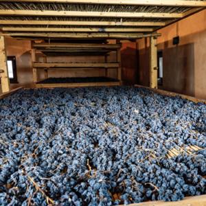 A Cantina Valpolicella Negrar e seus Amarones